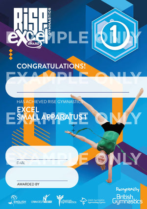Rise Gymnastics Excel Certificates